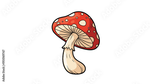 Detailed illustration of a red fly agaric mushroom with white spots and gills on a clean white background for nature design.