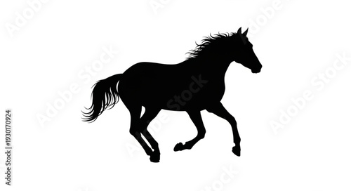 Black Horse Silhouette Running Free.