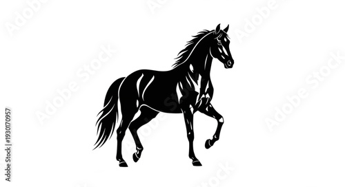 Black Horse Silhouette Running Freely.