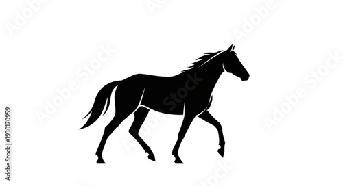Black Horse Silhouette Running Free.