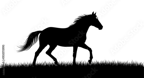 Black Horse Silhouette Running Freely.