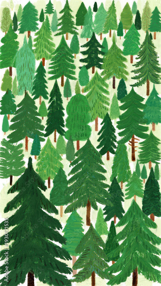 Obraz premium Green forest background, pine trees illustration and nature pattern