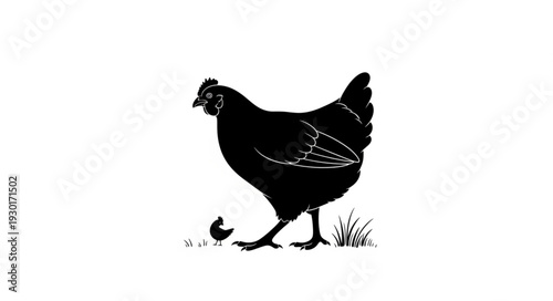 Black Hen with Chick Illustration.