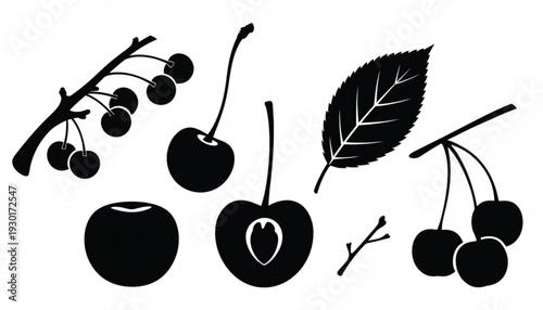 Black Cherry Silhouette Set With Leaf And Branch