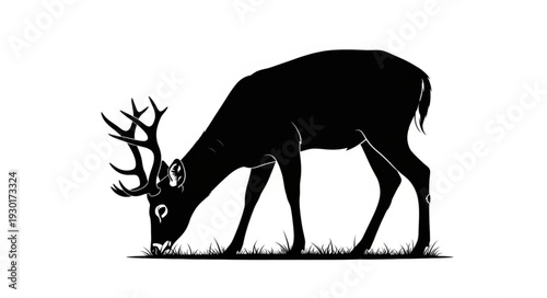 Black Silhouette Deer Eating Grass.
