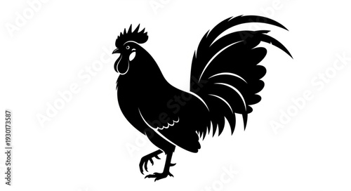 Black Rooster Silhouette Illustration.