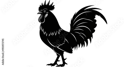 Black Rooster Silhouette Standing Proudly.