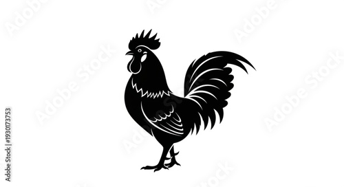 Black Rooster Standing Proudly Alone.