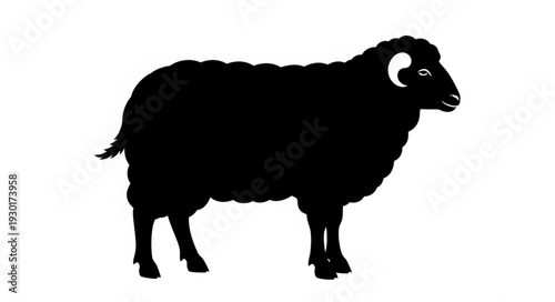 Black Sheep Standing Alone Silhouette.