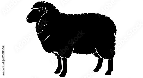 Black Sheep Standing Alone Silhouette.