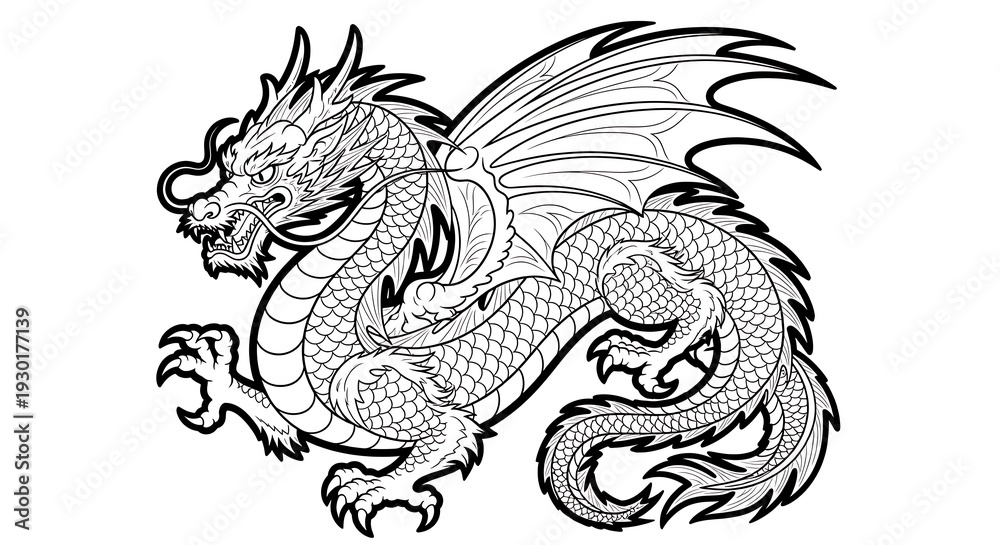 Fototapeta premium Chinese dragon illustration