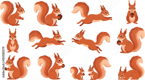 Cute Red Squirrel Character Vector Illustration Set Featuring Various Poses Including Jumping Running and Eating Nuts for Forest Nature and Wildlife Educational Designs