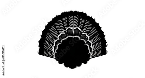 Black Lace Wedding Fan Closeup.