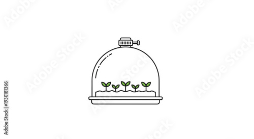 Seedlings Growing in a Terrarium with Ventilation Control