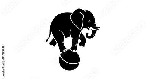 Elephant Balancing on Basketball.