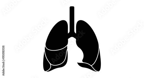 Human Lungs Anatomy Illustration.