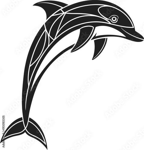 Black and white dolphin jumping out of water animal mammal