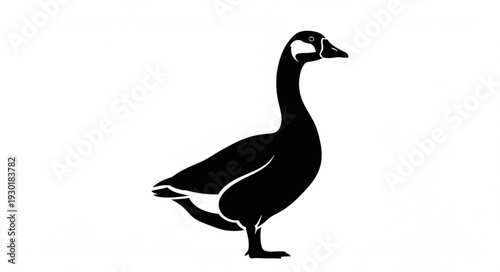 Black Silhouette of a Duck.