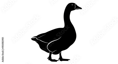 Black Silhouette of a Duck.