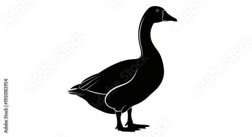 Black Silhouette of a Duck.