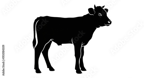 Black Silhouette of a Cow Standing.