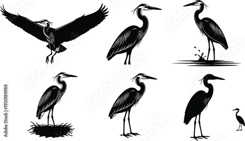 Great Blue Heron Silhouette Vector Set Featuring Birds Flying Standing in Water Nesting and With Chicks for Nature Wildlife Design