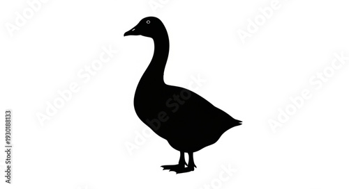 Black Silhouette of a Goose.