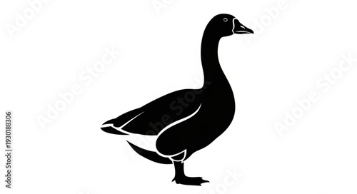 Black Silhouette of a Goose.