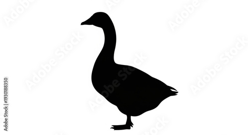 Black Silhouette of a Goose.