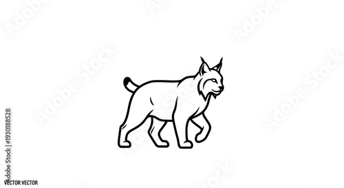 Lynx walking, minimalist line art, vector illustration, wild animal icon