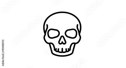 A simple illustration of a human skull