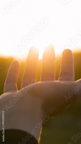 Hand reaching sunlight in serene nature. Person embraces warmth of golden hour. Vertical perspective captures peaceful moment of connection. Nature inspires calmness and tranquility.