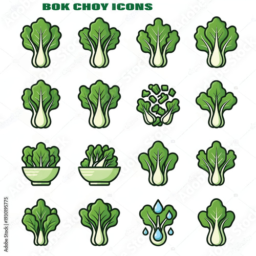 Fresh Bok Choy Green Vegetable Isolated on White Background