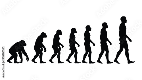 Evolution of humans from ape to modern man isolated on white background, Vector