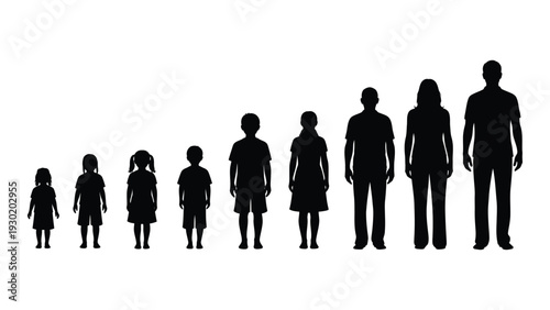 A group of people of different ages and sizes standing in a line isolated on white background, Vector