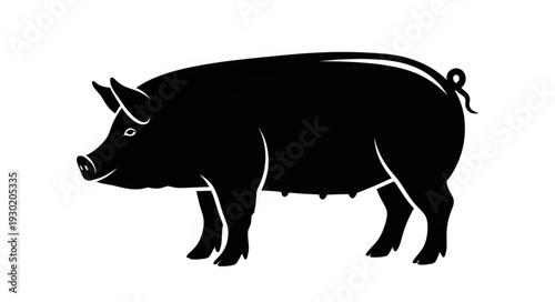 Black Silhouette of a Pig.