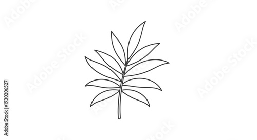 Minimalist Line Art of a Fern Frond, Elegant Botanical Illustration