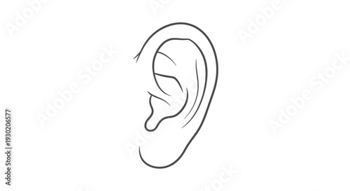 Minimalist Line Drawing of a Human Ear, Isolated on White Background