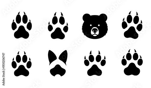 Different Animal Paw Print Vector Illustration Set Isolated on White