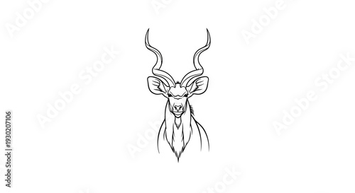Majestic Kudu Antelope Head, Stylized Line Art, African Wildlife Portrait