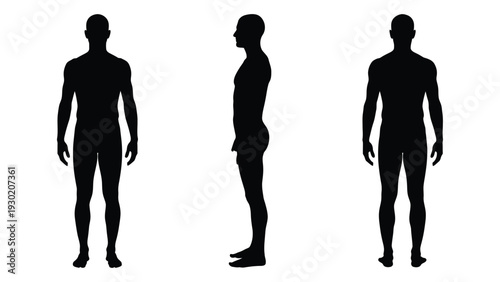 Silhouettes of a man in three different views isolated on white background, Vector