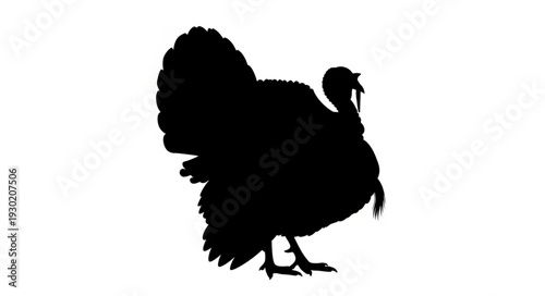 Black Silhouette of a Turkey.