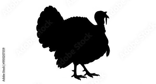 Black Silhouette of a Turkey.
