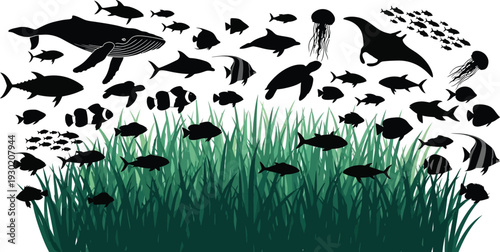 An illustration of various marine animals and fish swimming above a grassy ocean floor