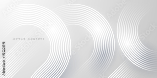 gray and white abstract background modern vector illustration