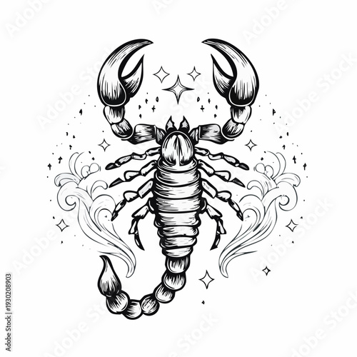A black and white illustration of a scorpion surrounded by decorative swirls and stars, viewed from the front.