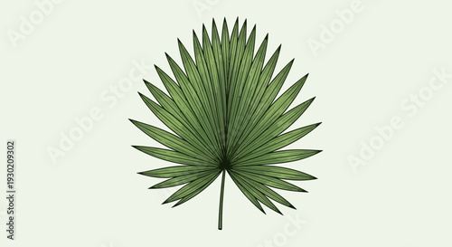 Green Palm Leaf Illustration on Light Background