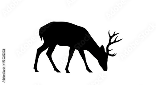 Black Silhouette of Deer Grazing.