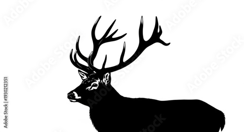 Black Silhouette of Deer Head.