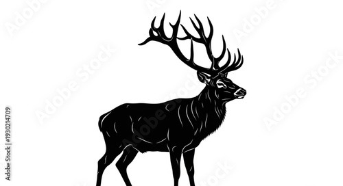 Black Silhouette of Deer with Antlers.